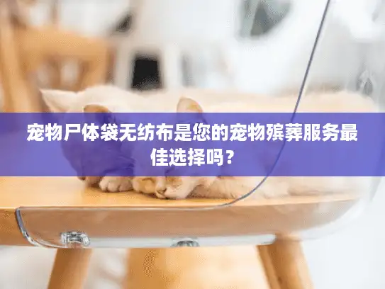 宠物尸体袋无纺布是您的宠物殡葬服务最佳选择吗？