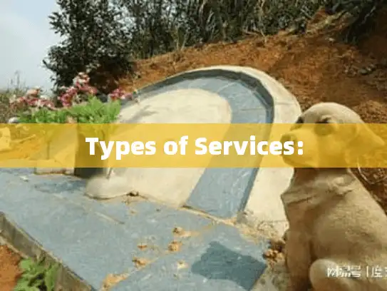Types of Services: