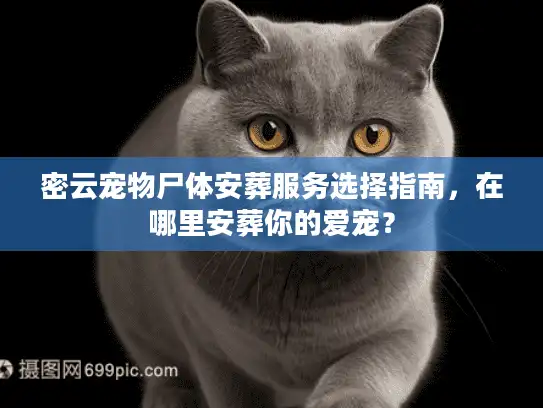 密云宠物尸体安葬服务选择指南，在哪里安葬你的爱宠？