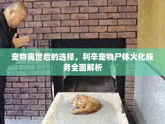 宠物离世后的选择，利辛宠物尸体火化服务全面解析