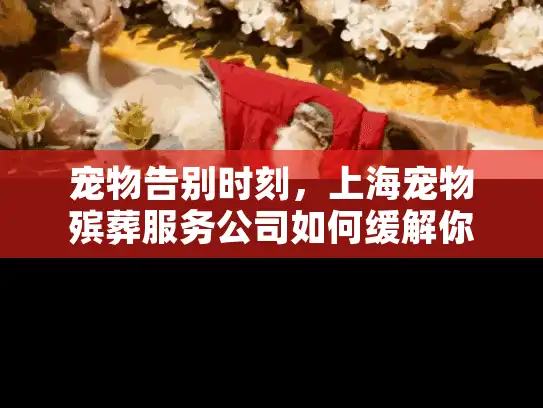宠物告别时刻，上海宠物殡葬服务公司如何缓解你的悲伤？