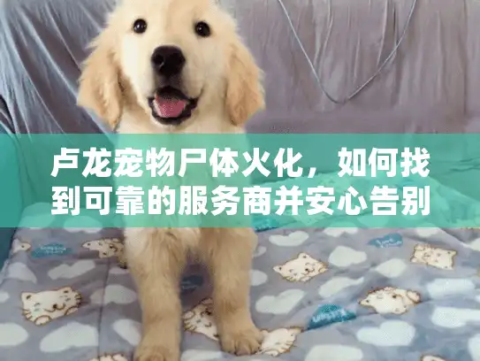 卢龙宠物尸体火化，如何找到可靠的服务商并安心告别爱宠？