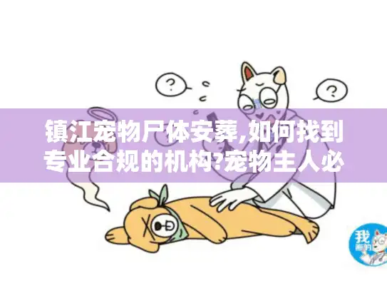 镇江宠物尸体安葬,如何找到专业合规的机构?宠物主人必看指南