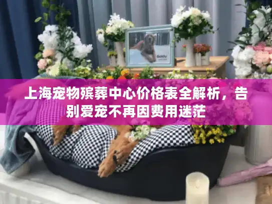 上海宠物殡葬中心价格表全解析，告别爱宠不再因费用迷茫