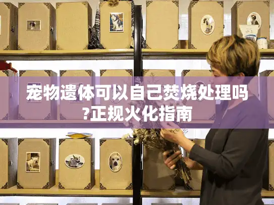 宠物遗体可以自己焚烧处理吗?正规火化指南