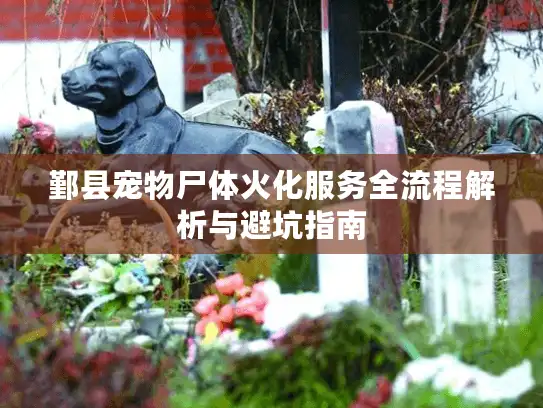 鄞县宠物尸体火化服务全流程解析与避坑指南