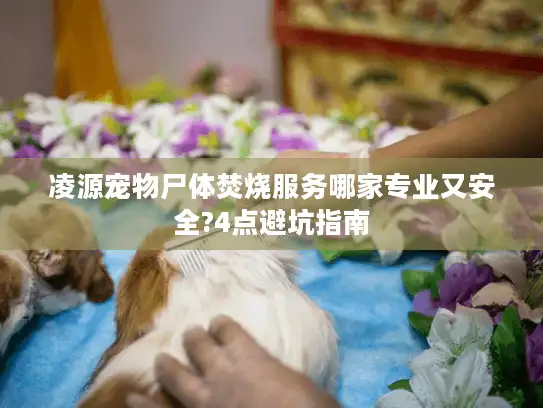 凌源宠物尸体焚烧服务哪家专业又安全?4点避坑指南
