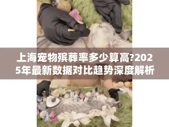 上海宠物殡葬率多少算高?2025年最新数据对比趋势深度解析