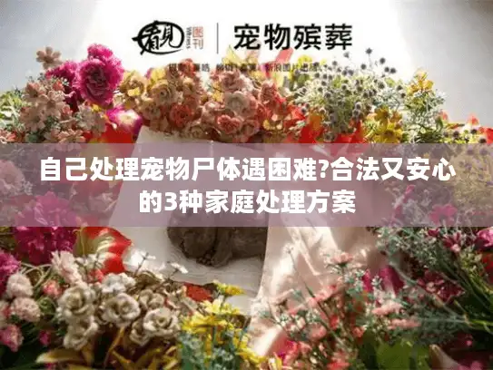 自己处理宠物尸体遇困难?合法又安心的3种家庭处理方案