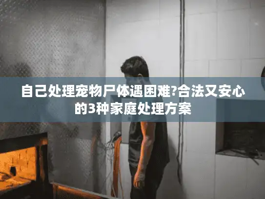 自己处理宠物尸体遇困难?合法又安心的3种家庭处理方案