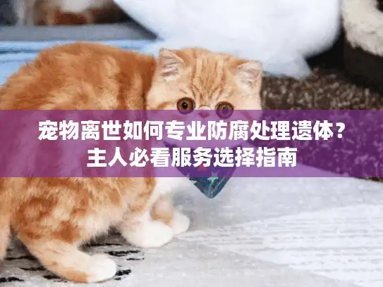 宠物离世如何专业防腐处理遗体？主人必看服务选择指南