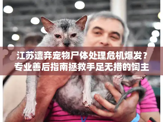 江苏遗弃宠物尸体处理危机爆发？专业善后指南拯救手足无措的饲主
