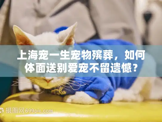 上海宠一生宠物殡葬，如何体面送别爱宠不留遗憾？