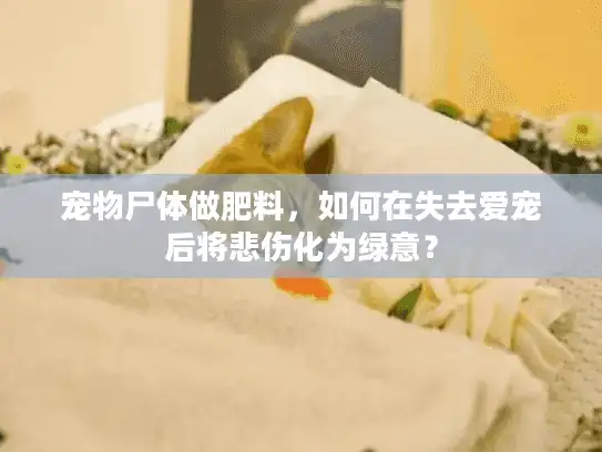 宠物尸体做肥料，如何在失去爱宠后将悲伤化为绿意？