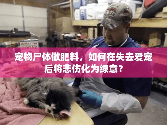 宠物尸体做肥料，如何在失去爱宠后将悲伤化为绿意？