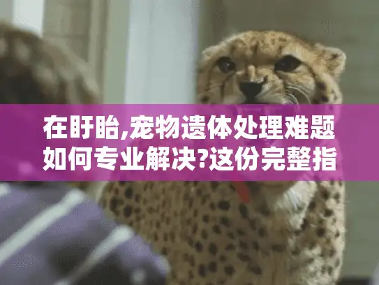 在盱眙,宠物遗体处理难题如何专业解决?这份完整指南帮助告别爱宠