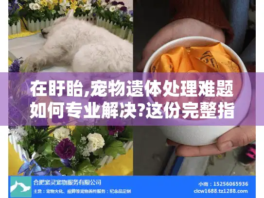 在盱眙,宠物遗体处理难题如何专业解决?这份完整指南帮助告别爱宠