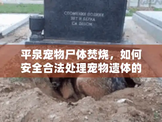 平泉宠物尸体焚烧，如何安全合法处理宠物遗体的终极指南
