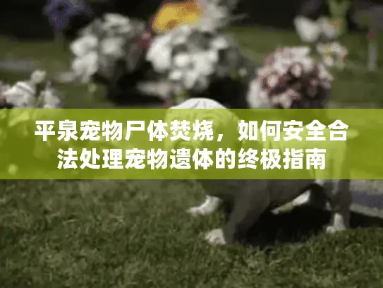 平泉宠物尸体焚烧，如何安全合法处理宠物遗体的终极指南