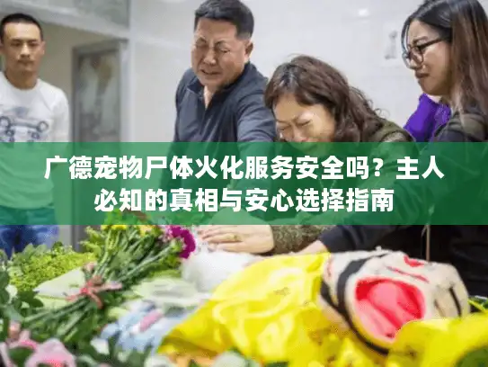 广德宠物尸体火化服务安全吗？主人必知的真相与安心选择指南