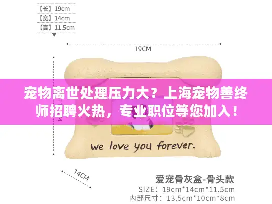 宠物离世处理压力大？上海宠物善终师招聘火热，专业职位等您加入！