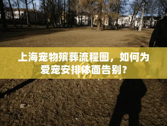 上海宠物殡葬流程图，如何为爱宠安排体面告别？
