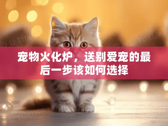 宠物火化炉，送别爱宠的最后一步该如何选择