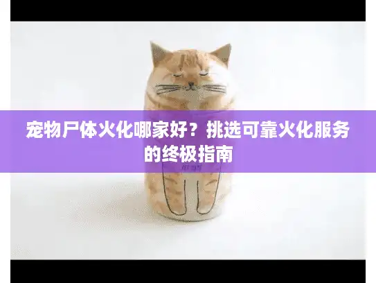 宠物尸体火化哪家好？挑选可靠火化服务的终极指南