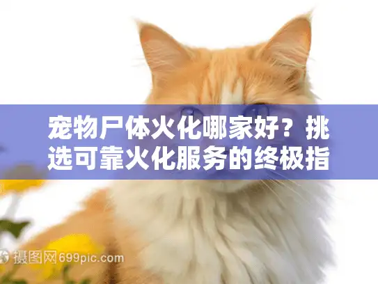 宠物尸体火化哪家好？挑选可靠火化服务的终极指南
