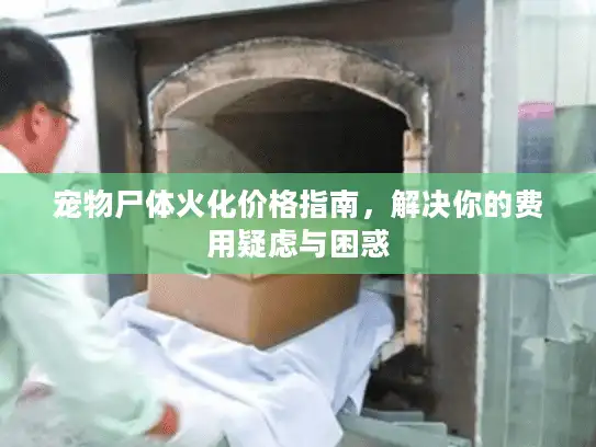 宠物尸体火化价格指南，解决你的费用疑虑与困惑
