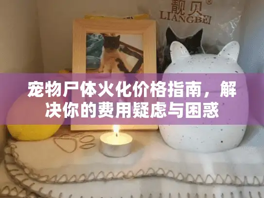 宠物尸体火化价格指南，解决你的费用疑虑与困惑