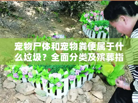 宠物尸体和宠物粪便属于什么垃圾？全面分类及殡葬指南