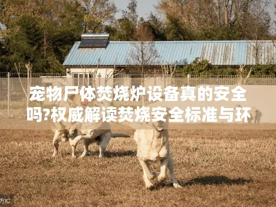 宠物尸体焚烧炉设备真的安全吗?权威解读焚烧安全标准与环保认证