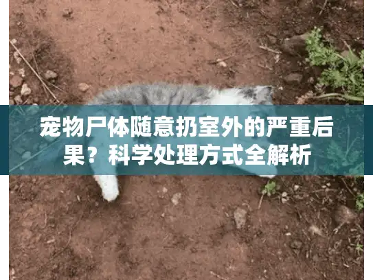 宠物尸体随意扔室外的严重后果？科学处理方式全解析