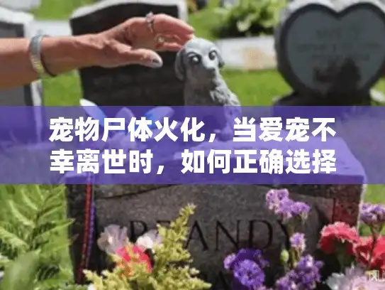 宠物尸体火化，当爱宠不幸离世时，如何正确选择和安排专业服务？