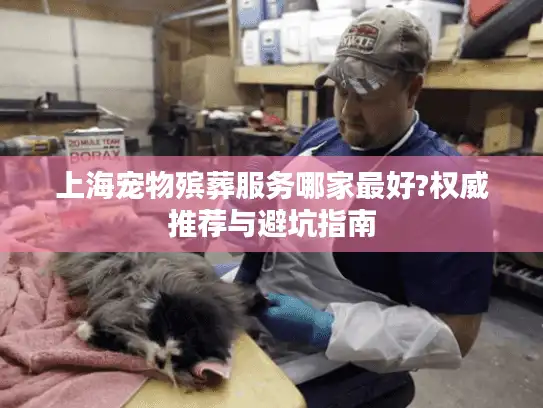 上海宠物殡葬服务哪家最好?权威推荐与避坑指南