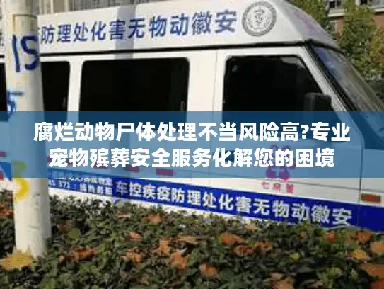 腐烂动物尸体处理不当风险高?专业宠物殡葬安全服务化解您的困境
