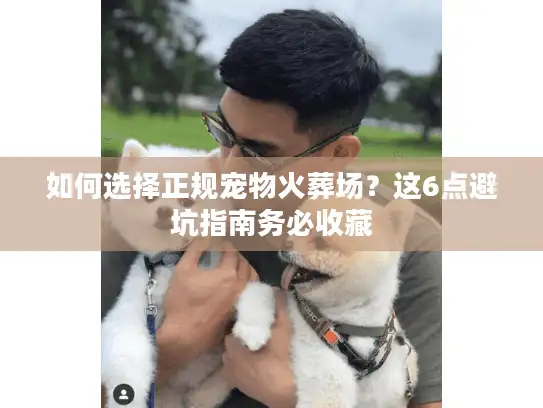 如何选择正规宠物火葬场？这6点避坑指南务必收藏