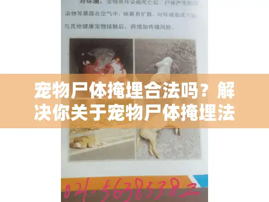 宠物尸体掩埋合法吗？解决你关于宠物尸体掩埋法律问题的疑惑