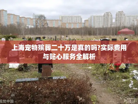 上海宠物殡葬二十万是真的吗?实际费用与贴心服务全解析