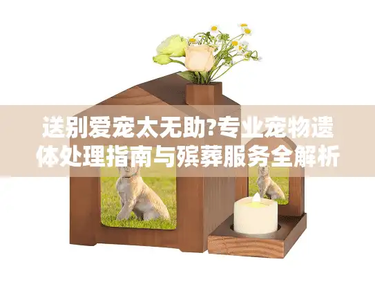 送别爱宠太无助?专业宠物遗体处理指南与殡葬服务全解析