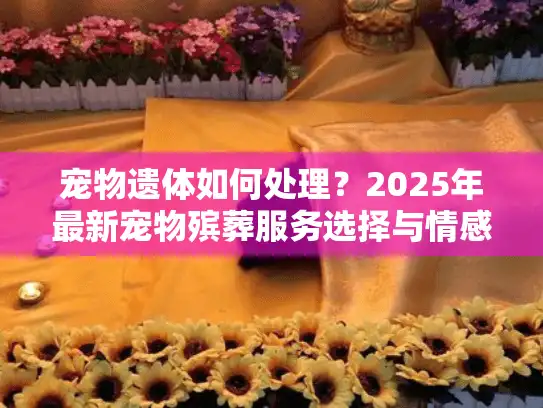 宠物遗体如何处理？2025年最新宠物殡葬服务选择与情感指南