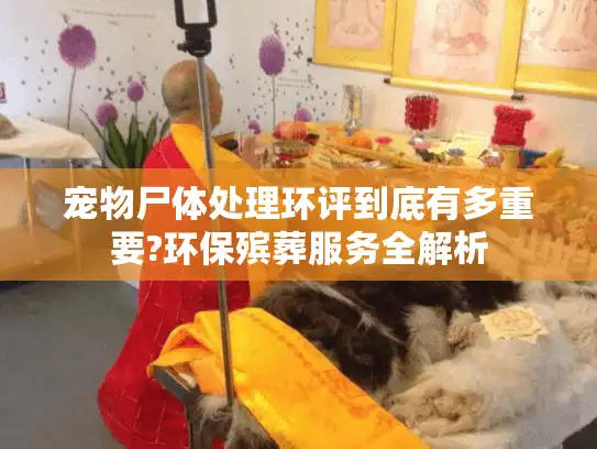 宠物尸体处理环评到底有多重要?环保殡葬服务全解析
