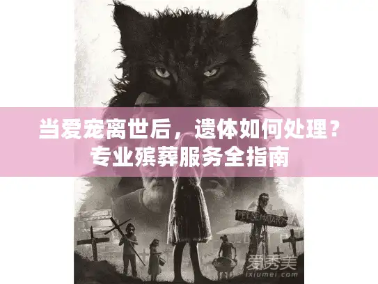 当爱宠离世后，遗体如何处理？专业殡葬服务全指南