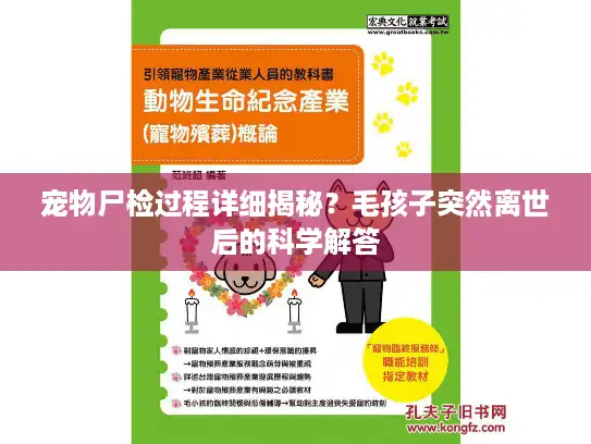 宠物尸检过程详细揭秘？毛孩子突然离世后的科学解答