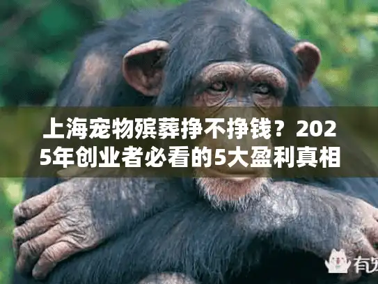 上海宠物殡葬挣不挣钱？2025年创业者必看的5大盈利真相分析