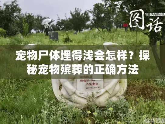 宠物尸体埋得浅会怎样？探秘宠物殡葬的正确方法