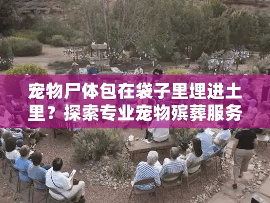 宠物尸体包在袋子里埋进土里？探索专业宠物殡葬服务的正确安葬方式