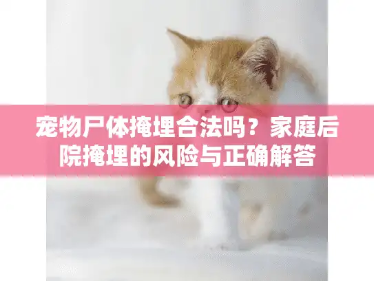 宠物尸体掩埋合法吗？家庭后院掩埋的风险与正确解答