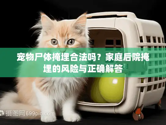 宠物尸体掩埋合法吗？家庭后院掩埋的风险与正确解答